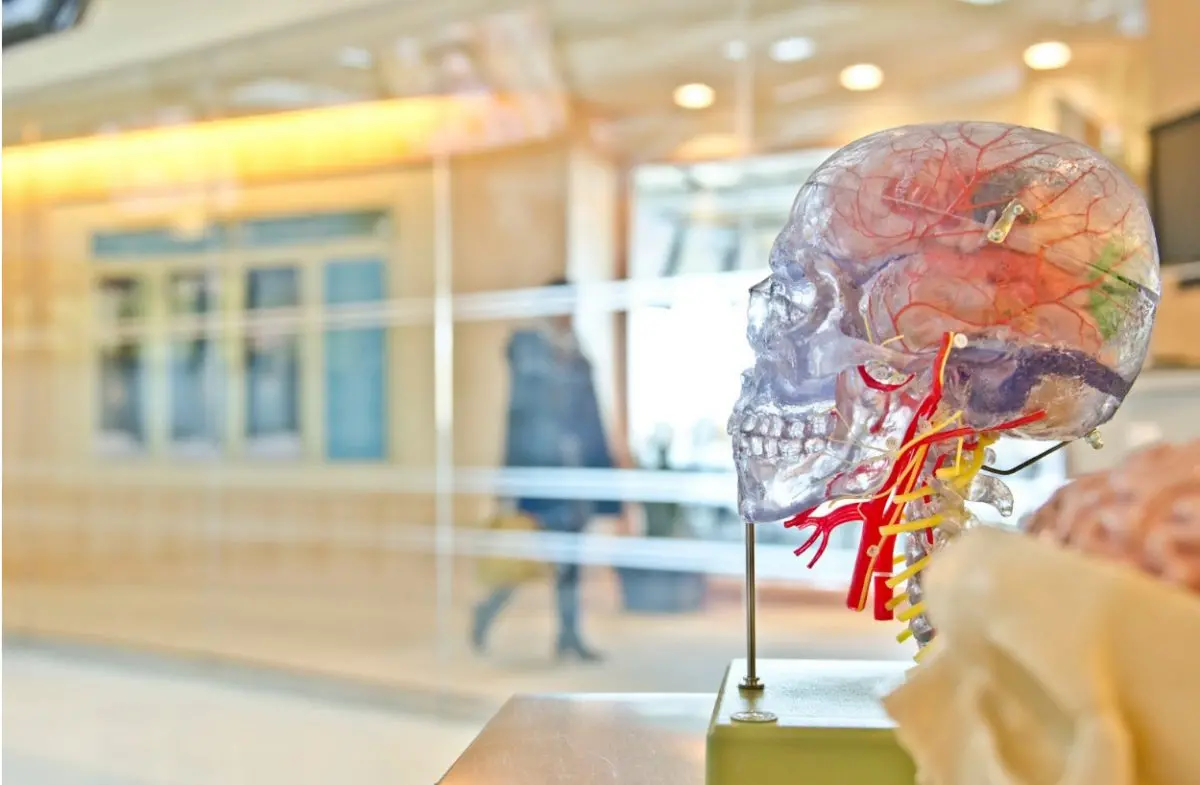 4 Decisions Families of TBI Survivors Will Have to Make