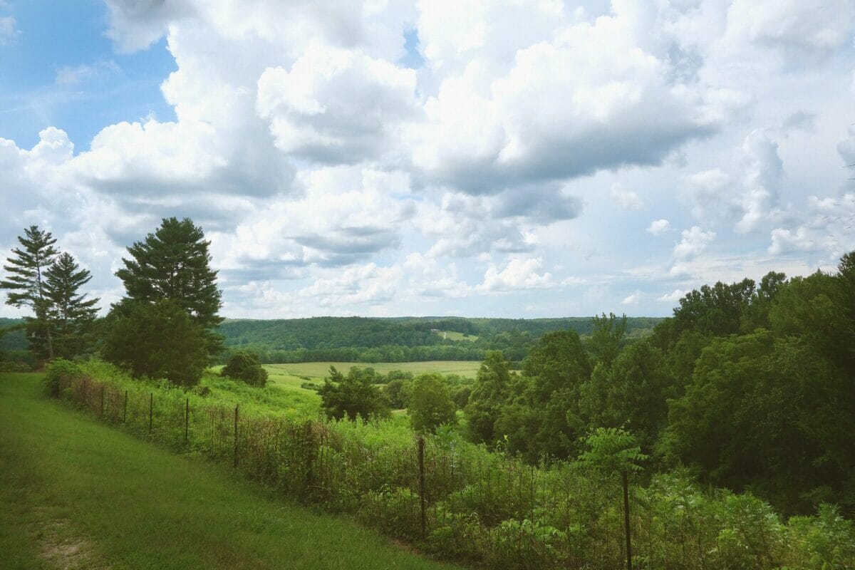 Nashville, TN A Big Back Yard to Enjoy