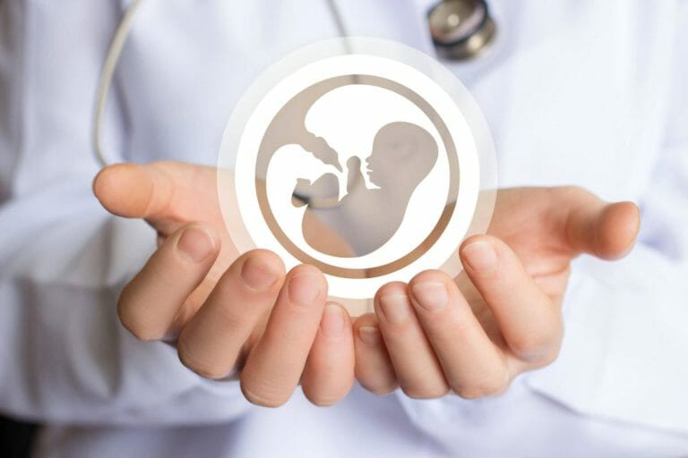 How is DHEA Linked to Fertility?