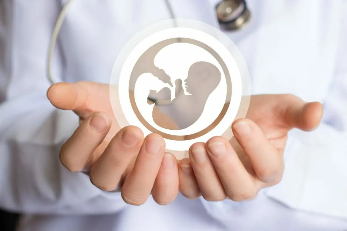 How is DHEA Linked to Fertility? 1 How is DHEA Linked to Fertility?