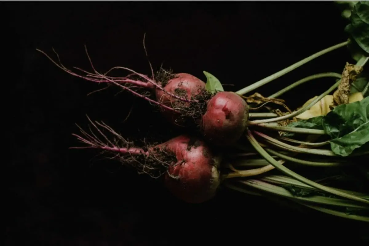 A Surprising List of Beetroot Powder Benefits 1 Beetroot Powder