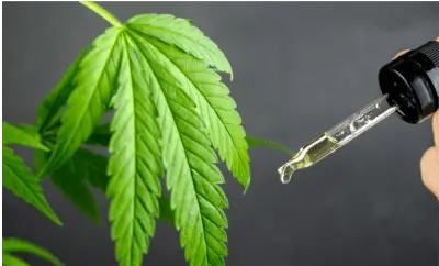 Wholesale CBD