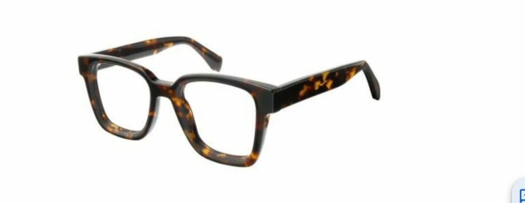 Tortoise Shell Glasses