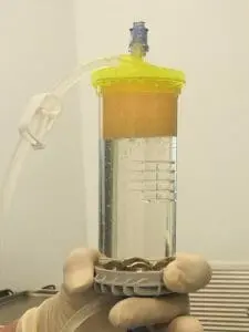 Lipogems