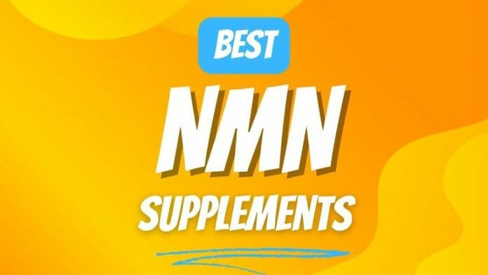 best nmn supplement