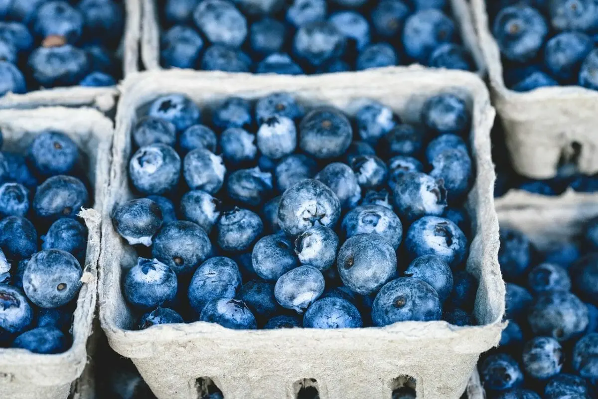 2 Ways to Enjoy Improved Physical Health During Adulthood 1 healthy diet