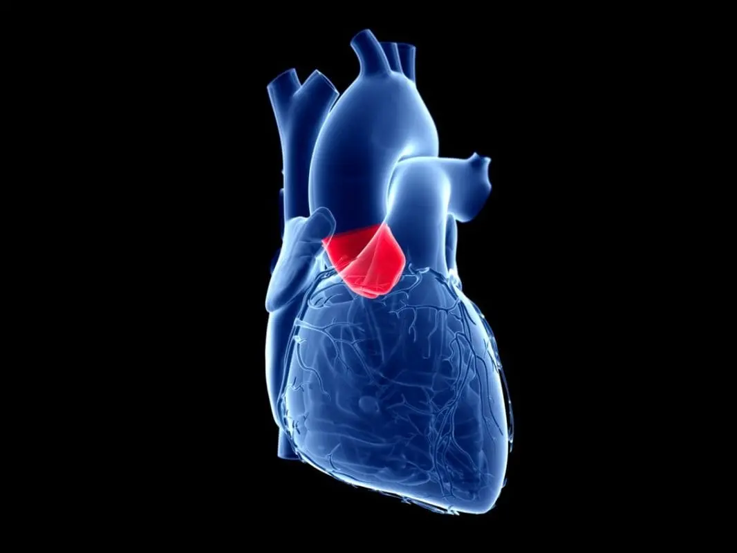 NEJM: Study Supports Minimally Invasive Procedure for Aortic Stenosis 1 Aortic Stenosis