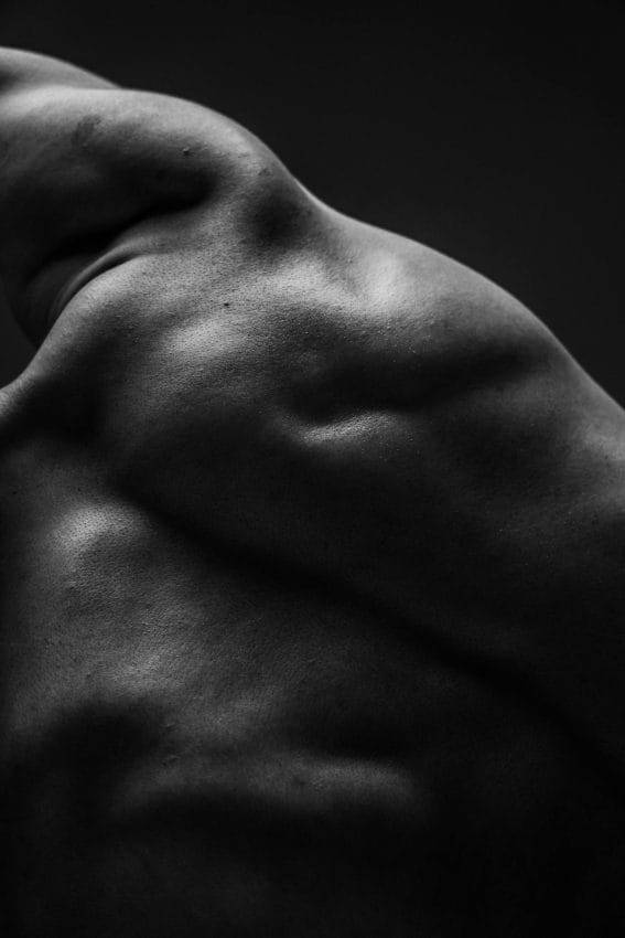 Workout Your Trapezius Muscle