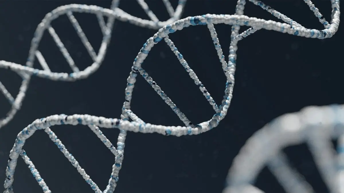 What Kind of Equipment is Used to Analyze DNA? 1 Analyze DNA