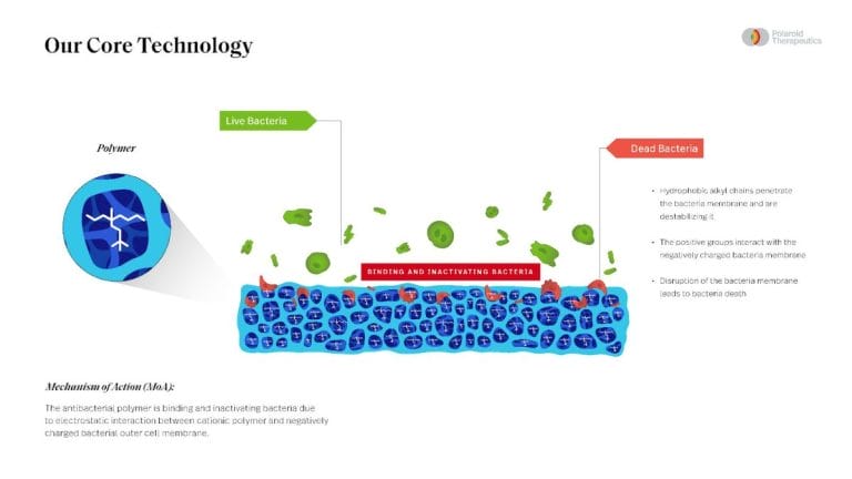 antimicrobial wound dressings