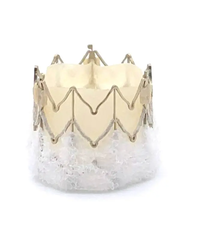 MiRus Siegel ™ TAVR: First in Human Results Presented at New York Valves 1 MiRus Siegel ™ TAVR