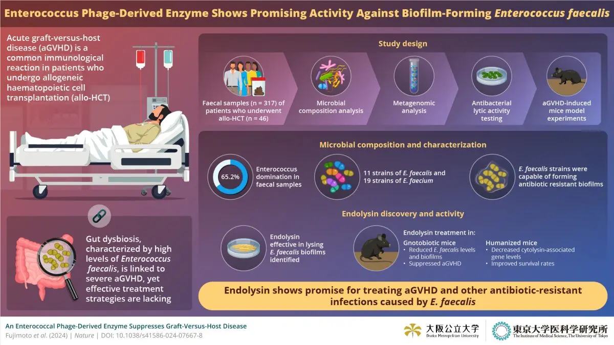 Phage-Derived Enzyme Targets E. faecalis Biofilms to Mitigate Acute Graft-Versus-Host Disease 1 Acute Graft-Versus-Host Disease