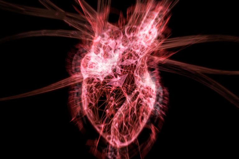 Drug Prevents Heart Failure After Heart Attacks in Mice, Study Finds