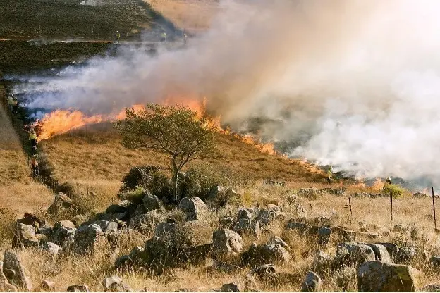 Wildfire Claim Is Denied in Oregon