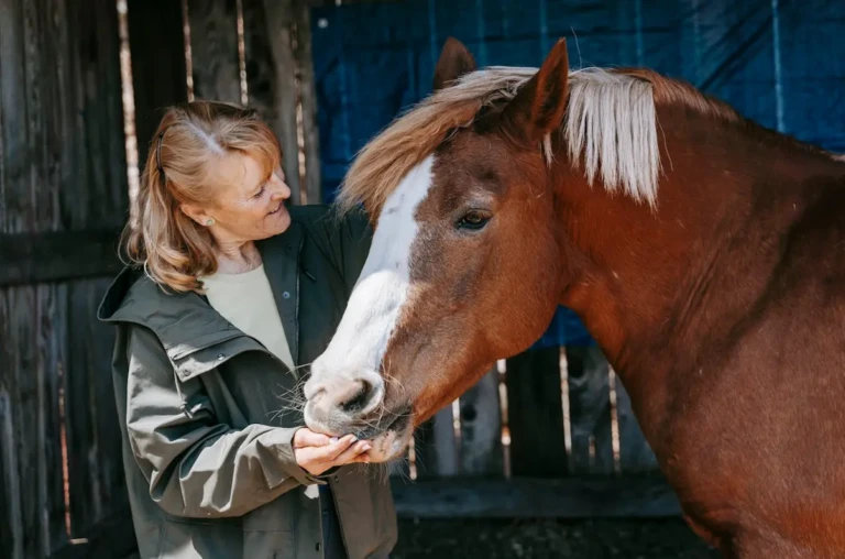Equine Therapy