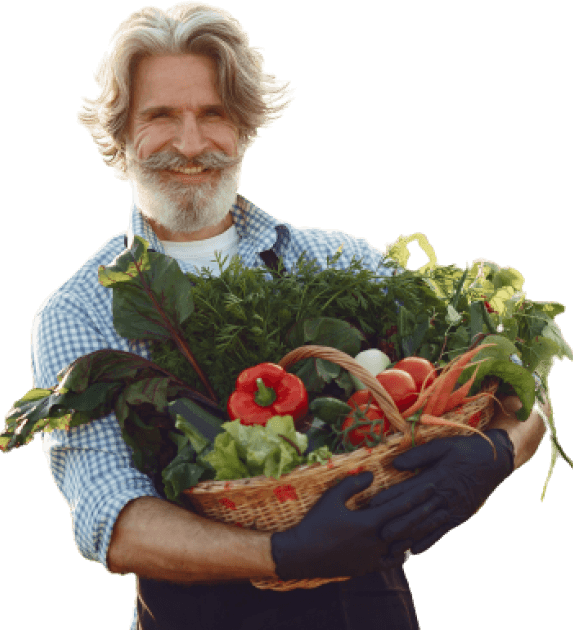 Fresh Organic Vegetables