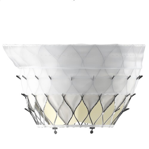 ProStyle M® Transcatheter Mitral Valve System