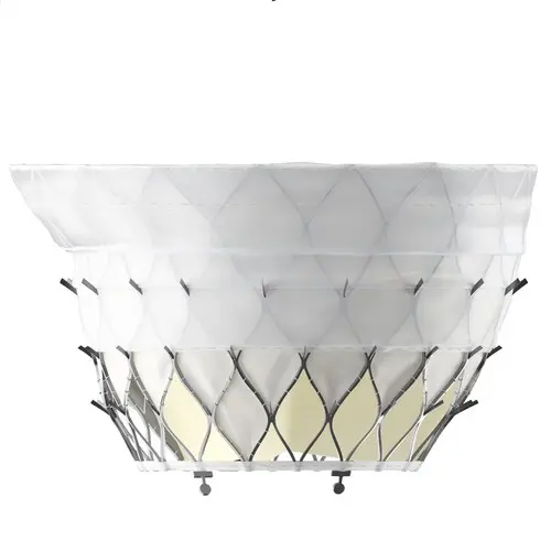 ProStyle M® Transcatheter Mitral Valve System