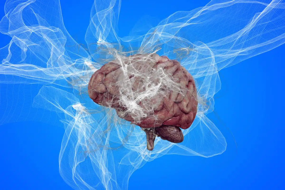 Brain Resilience