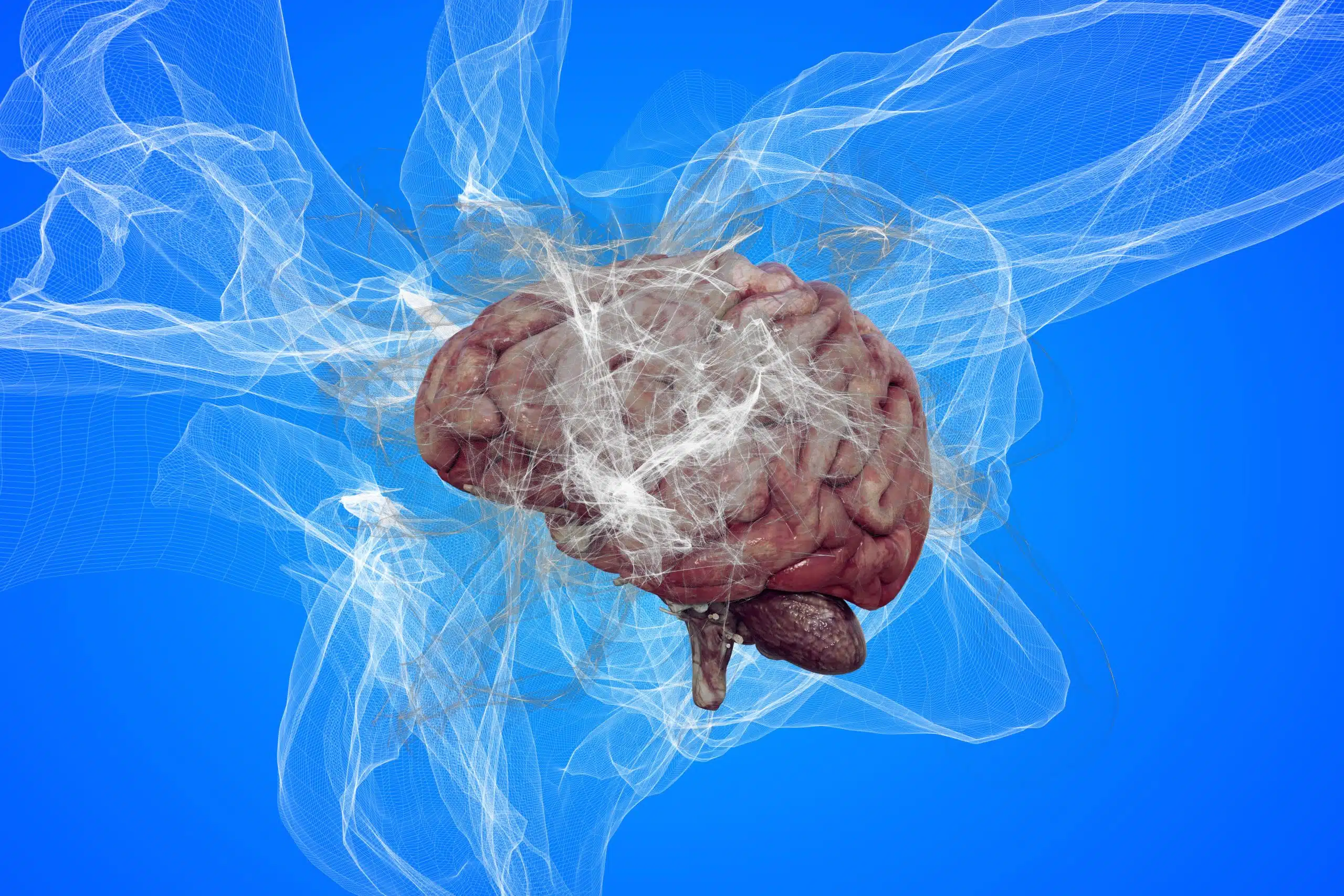Brain Resilience